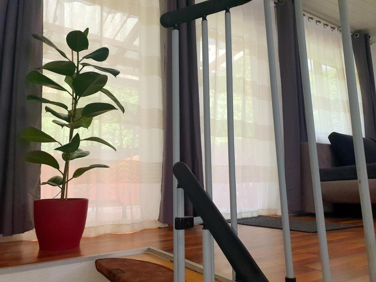 Appartamento Haus Damian Traben-Trarbach Esterno foto